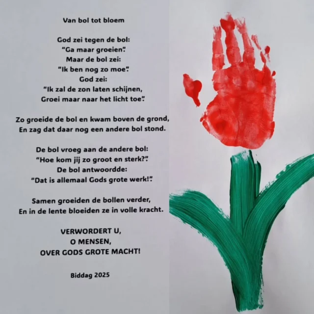 Instagram bericht 17873941728296319
