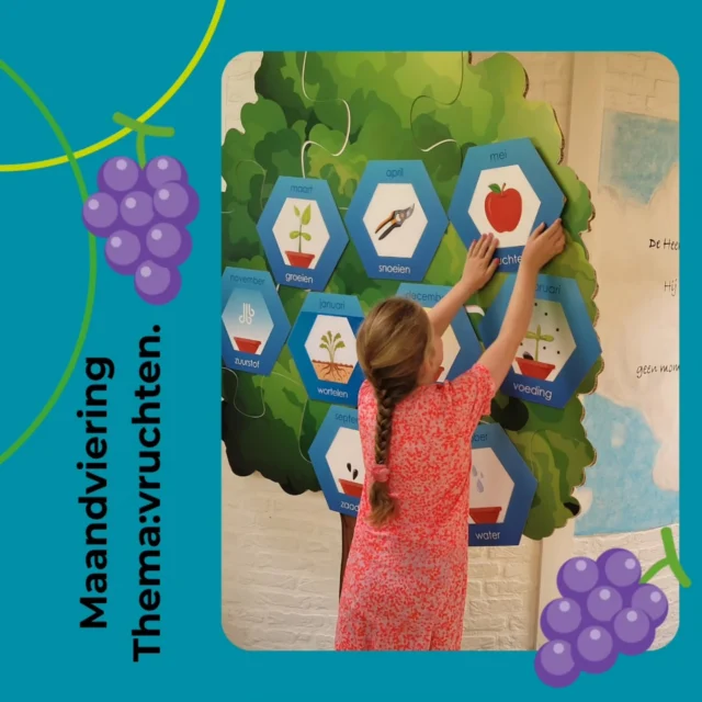 Vanmorgen hadden we de maandviering met als thema: vruchten.Vruchten (fruit) maakt ons gezond en zo is het ook met Jezus....Hij is naar ons toe gekomen zodat wij gezond zijn en vrucht dragen.De vruchten van de Geest...vrede, goedheid, vriendelijkheid, geduld, zelfbeheersing, zachtmoedig, vreugde, geloof en liefde.Na de maandviering mochten de kinderen vruchten plukken van de druivenrank.